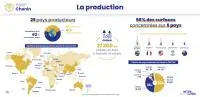 infographie Chenin