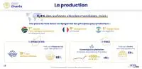 infographie Chenin