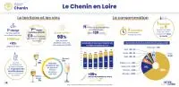 infographie Chenin