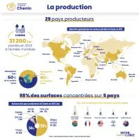 infographie Chenin mobile