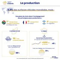 infographie Chenin mobile