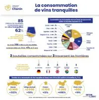 infographie Chenin mobile