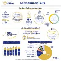 infographie Chenin mobile